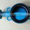 Ductile Iron Butterfly Valve