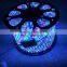 RGBW high brightness chip SMD 2835 5050 Flexible LED Strip Light
