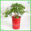 Popular Durable Melamine size Flowerpots,Red or White,houseware,2016