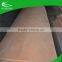 BEST SALE 4'*8' 0.3mm okoume face veneer for plywood
