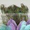 New parrot tail cosplay party prop tail animal's tai
