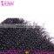 10A grade afro kinky hair 100% unprocessed afro kinky hair extensions mongolian kinky curly afro b hair styles