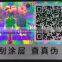 Custom Design Hologram anti-counterfeit waterproof sticke