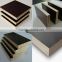 Plywood in Linyi & 18mm Brown Film Faced Plywood