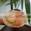 Natural Himalayan Salt Massage Stone