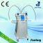 Body Shaping Hot!! Fat Freezing Cryolipolysis Machine With Double Handpieces Simultaneously Weight Loss
