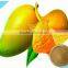 Great fruit drink Thai Tastes Instant mango drink premium fruit juice/powder drink , natural product high quality from fresh ma