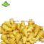 Fresh Yellow Mature Ginger