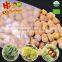 Quick Freezing Bulk Frozen Chestnuts for Sale