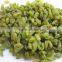 high quality green raisin from China