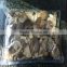 pleurotus abalonus mushroom oyster mushroom bags canned mushroom market price