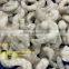Top Quality Shrimp Vannamei, Vannamei Peeled And Deveined