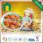 NON-GMO Longkou vermicelli,bean vermicelli,rice vermicelli