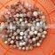 drilled American pink shell beads