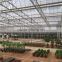 Selected Supplier Plastic Greenhouse for Sale