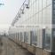 large multi-span PE film green house agriculture & commercial used greenhouse