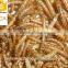 Dried Mealworms,Birds Food & aquarium fish food