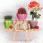 2015 hot sell wooden flower pots cheap