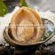 Frozen seafood exporter 100% natural frozen abalone
