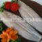 Well trimmed Pangasius fillet