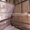 Plastic insect screen netting for doors and windows