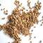 Factory price walnut shell sand 8-10# for filter material