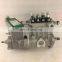 BHF4PM10001 4PL1156 4PL212 40154668 Fuel Injection Pump for YZ4102ZLQ engine