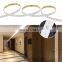 IP67 Waterproof DC24V Smart Dual Color Flexible LED Strip Light for Residential Lighting