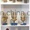 brands of bathroom Elbow brass pipe fittings / accessories