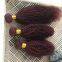 KHH Dark Wine Colour 99J Straight Human Hair Weave Bundles With Lace Closure , 99J Virgin Hair Colored Bundles With Lace Frontal