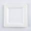 Disposable Biodegradable 10INCH square plate Take away Sugarcane
