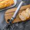 OEM/2020 hot Selling 8/10/12 Inch Domestic VG10 Damascus Steel Kitchen Knife with Black G10 Handle Bread Knife
