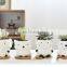 Home Decor Accessories Flower Pots Bulk Ceramic Plant Cute Elephant White Planters Pot Small Mini Plants Animal Dog Planter