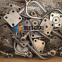 piston Z6150-05-1008 Z615ZLC Zichai Power Co., Ltd.