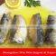 canned sardine from morocco(WW-155)