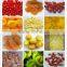 Chinese Bulk Preserved fruits/Dried Fruits Chips Price