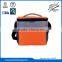 Portable fashion new style cooler bag with handle
