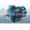 Chinese electric motor three phase for boat