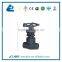WCB Butt Weld Gate Valve
