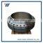 DIN Customized CL150-CL2500 CS/SS SO Flange
