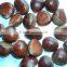 Organic Raw Fresh Chestnut Chinese bulk chestnuts price