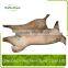 wholesale  frozen halal lamb carcass