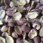 SUPPLIER OF SPLIT LOTUS SEED HIGH QUALITY FROM VIETNAM