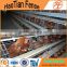 galvanized chicken egg layer cages design in south africa