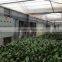 heavy duty exhaust fan for greenhouse