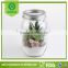 high quality glass vases for home decoration glass mason jar