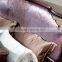 BISINI New Classic Purple Wood Bed with Carving