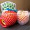 EPE Plastic Fruit Foam Mesh Wrap for Fresh Guava