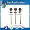 Made in Taiwan Head Painted Self Drilling Screws