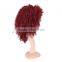 Hot sale kinky curly synthetic hair wigs